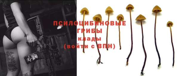 крисы Волоколамск