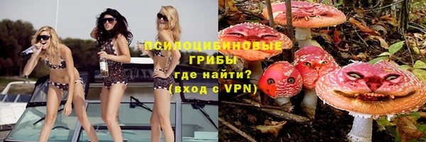 mdpv Володарск