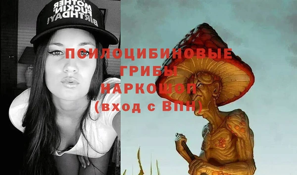 mdpv Володарск