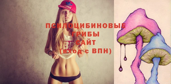 крисы Волоколамск