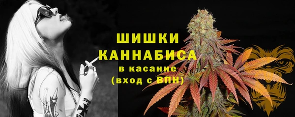 apvp Снежинск
